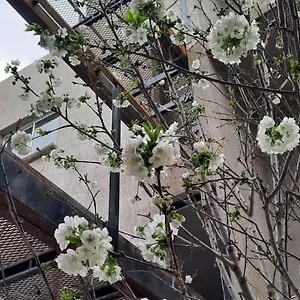 El Cerezo Apartamento
